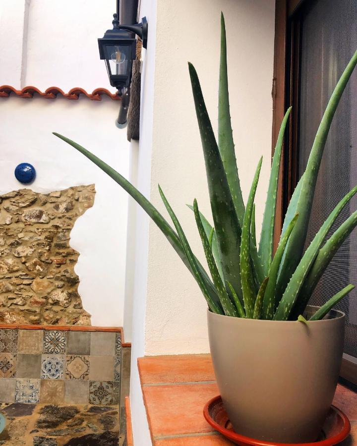 Tío Genaro Ferienhaus *